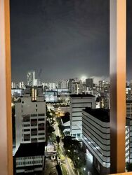 Neem Tree (D12), Apartment #564901291